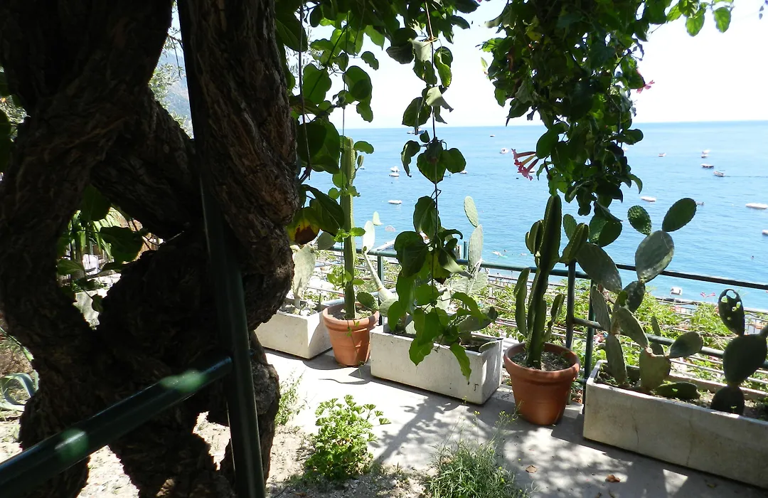 La Dolce Vita Residence-1